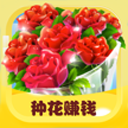 达叔APP更新版本2026